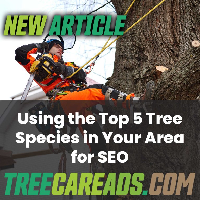 Tree Care Business SEO