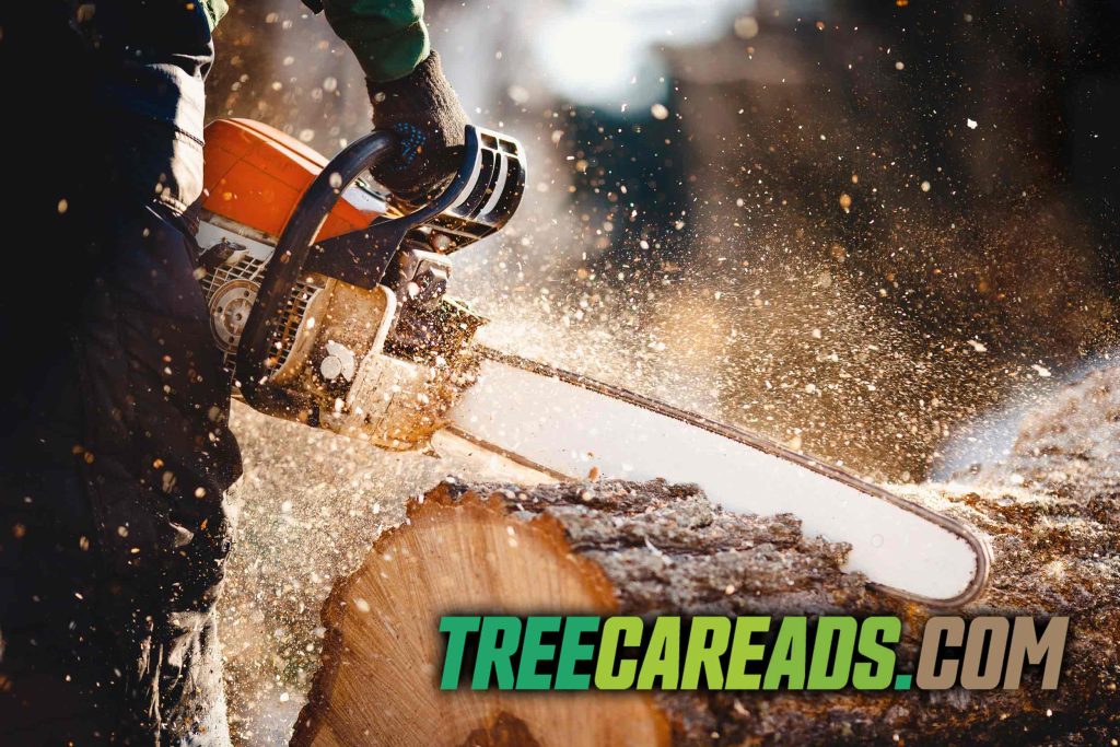 Google Ads Management for Tree Service Companies