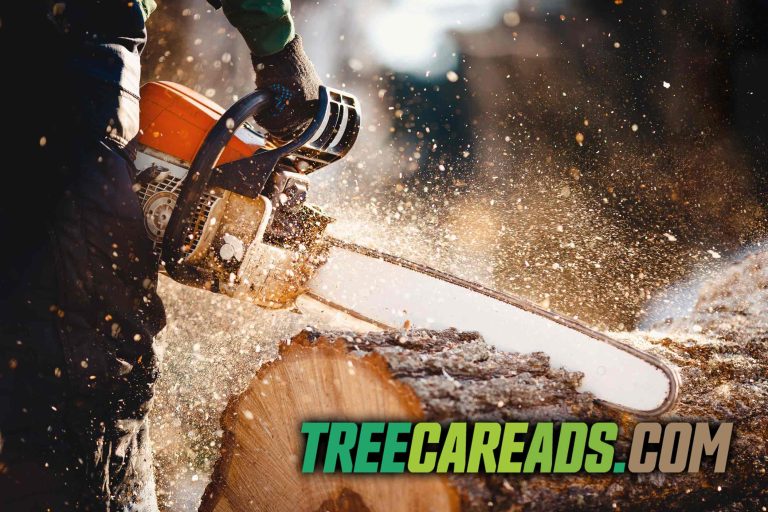 Google Ads Management for Tree Service Companies